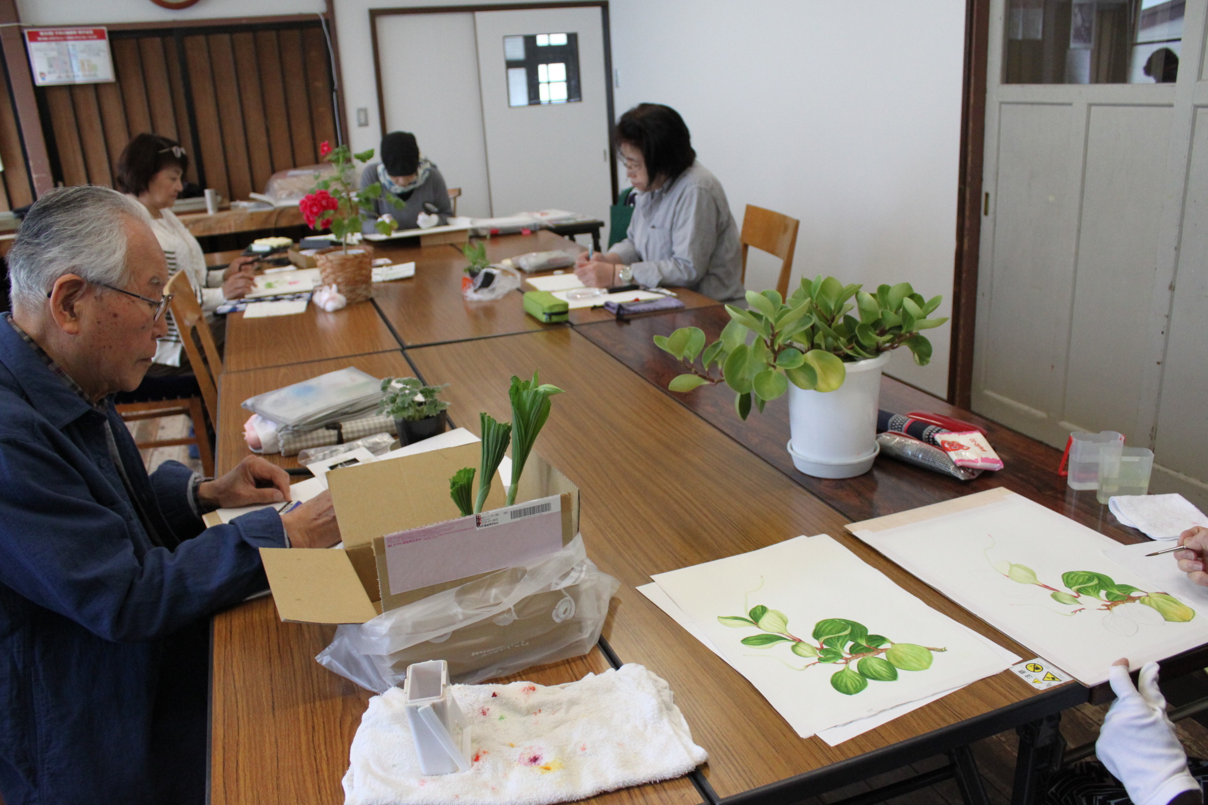 ボタニカルアート 植物画 函館ywcaの講座のご案内 一般財団法人 函館ywca ボタニカルアート 植物画 函館ywcaの講座のご案内 一般財団法人 函館ywca