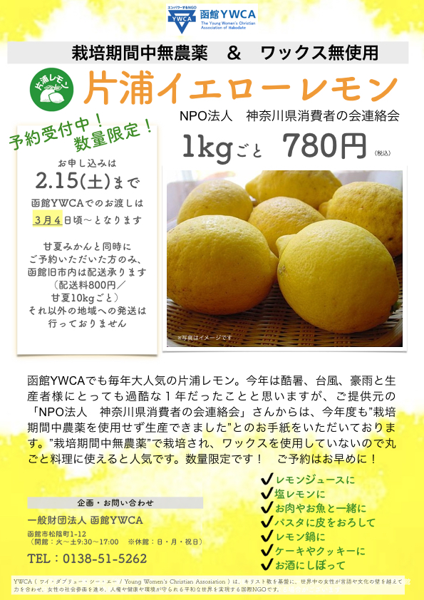 予約受付 片浦イエローレモンを販売します 栽培期間中無農薬 一般財団法人 函館ywca